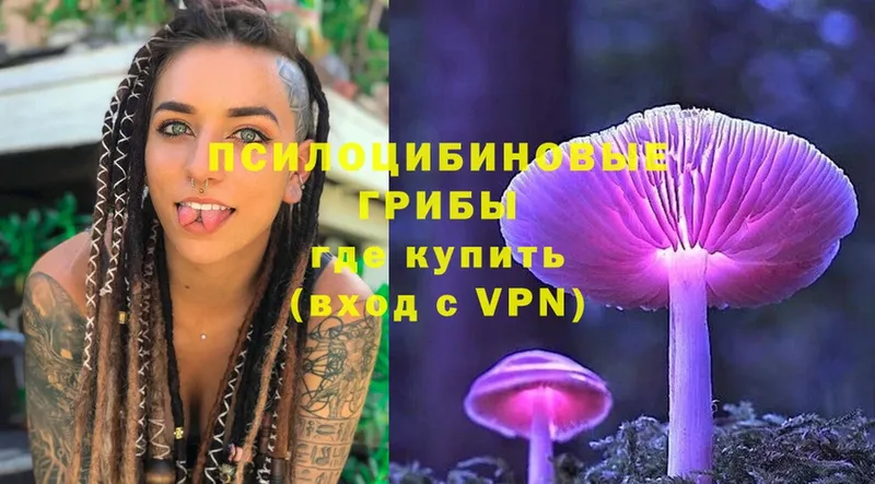 Галлюциногенные грибы Psilocybe  hydra маркетплейс  Лебедянь 